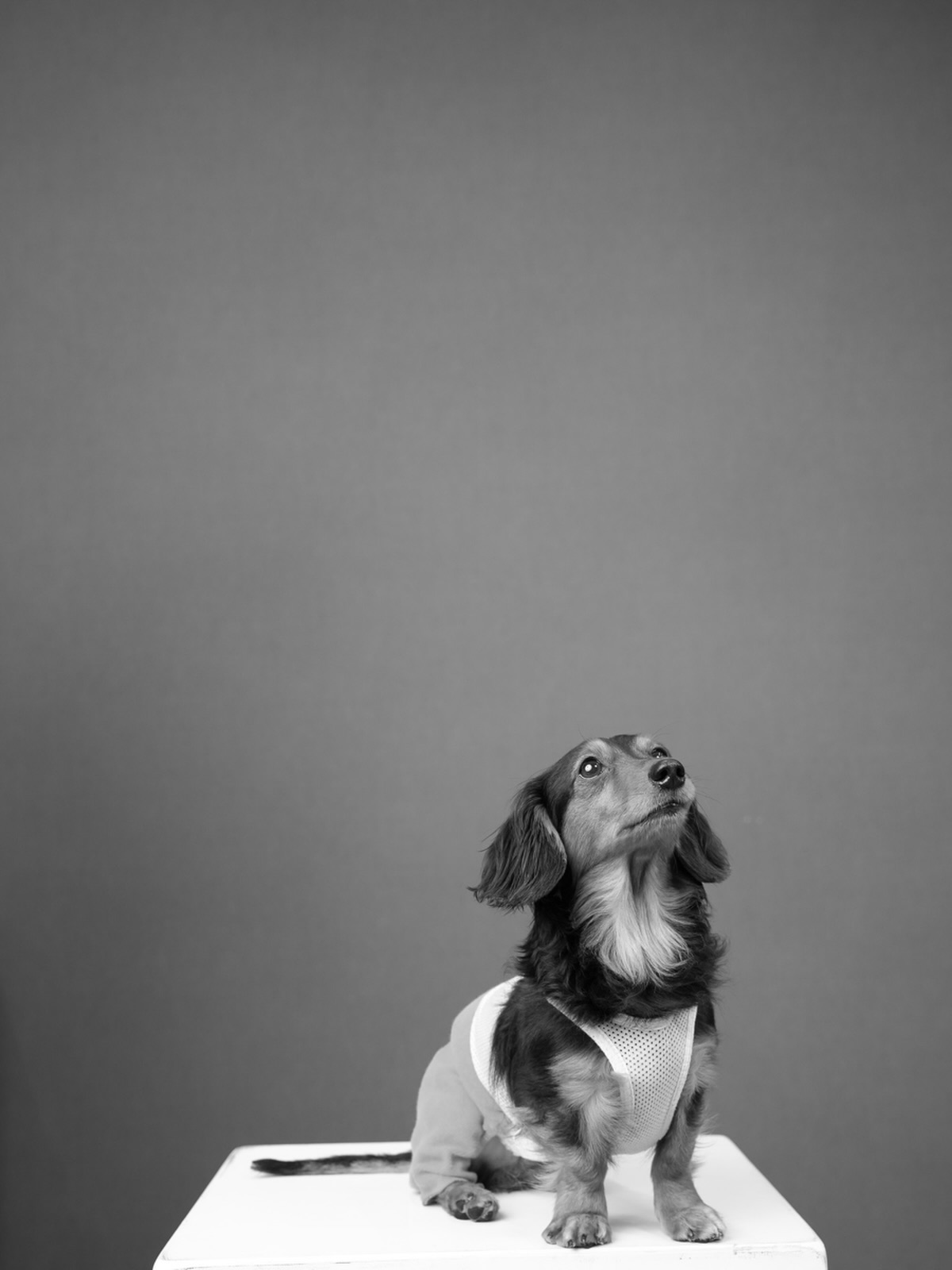 self photo
.
#千歳
#恵庭
#苫小牧
#セルフフォト
#セルフ写真館
フォトスタジオ
韓国
写真
家族
ファミリー
aorakistudio

.
※写真の投稿は許可を得ておりますのでNGの方も安心してご利用いただけます😌